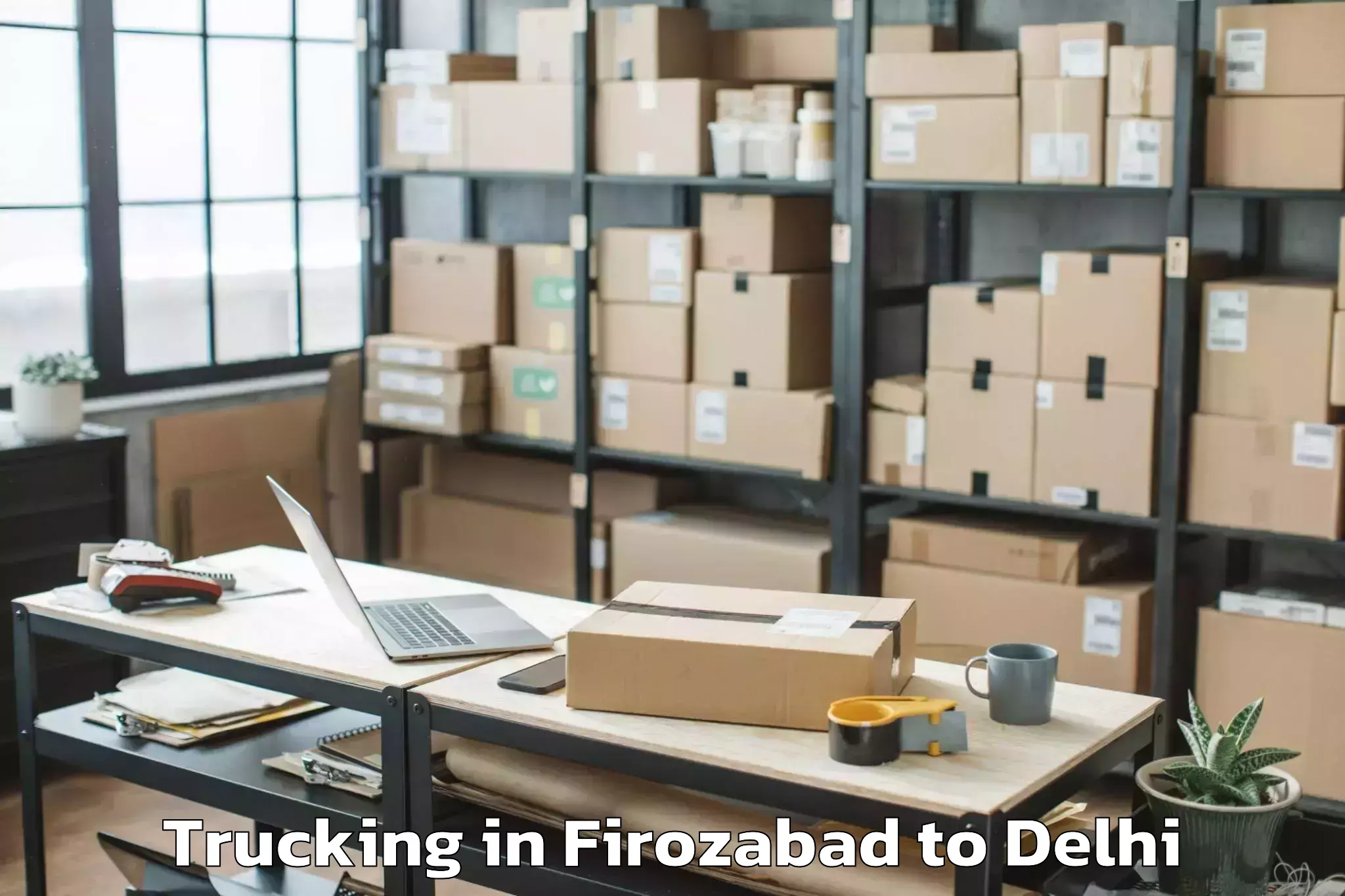 Reliable Firozabad to Ashok Vihar Trucking